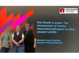 Prof. Britta Lundström and Prof. Dr. Carmen Faso, pose with seminar speaker Prof. Michelle Power
